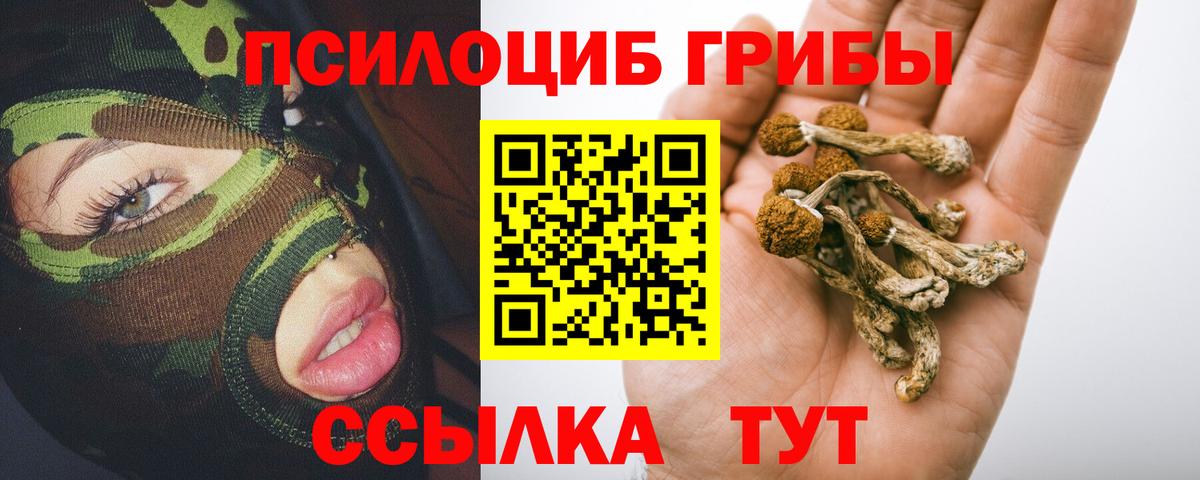 Химки  Псилоцибиновые грибы мухоморы  Вход с VPN  Галлюциногенные грибы Psilocybe 
